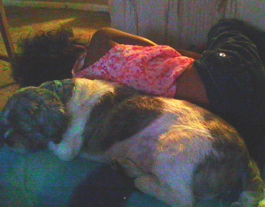 Child and Dog Sleeping